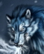 Kasutaja avatar
