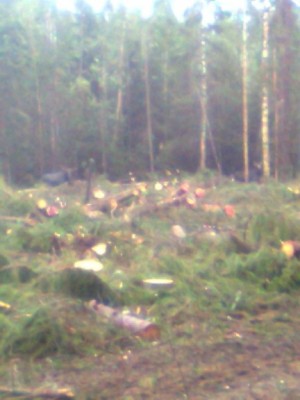 Pilt0146.jpg