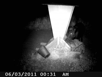 TSC_0037.JPG (359.28 KiB) Vaadatud 1461 korda TSC_0037.JPG