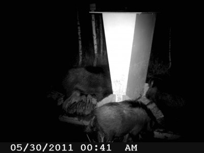 TSC_0018.JPG (261.39 KiB) Vaadatud 1112 korda TSC_0018.JPG