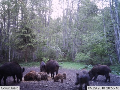 IMAG0744.JPG (1.34 MiB) Vaadatud 1228 korda IMAG0744.JPG