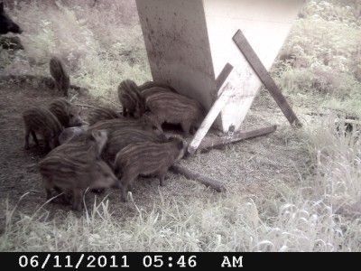 TSC_0005.JPG (755.67 KiB) Vaadatud 1502 korda TSC_0005.JPG