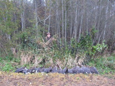 Hanejaht 2012_10_13 005.jpg (104.63 KiB) Vaadatud 2223 korda Hanejaht 2012_10_13 005.jpg