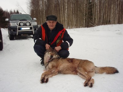 Rahu Antsu hunt Jõhvika sirge pikenduselt.JPG