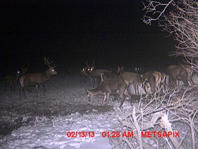 MDGC0029.JPG (834.74 KiB) Vaadatud 1135 korda MDGC0029.JPG