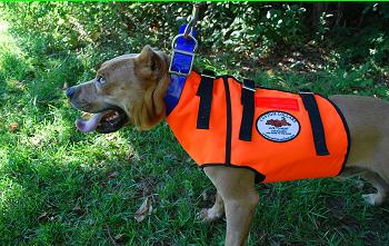 vest.jpg