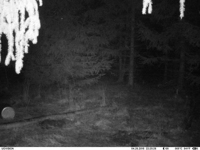 IMAG3065.JPG (822.69 KiB) Vaadatud 2569 korda IMAG3065.JPG