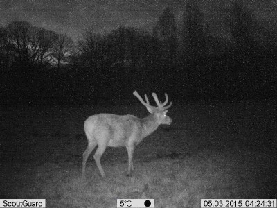 PIC.JPG (55.29 KiB) Vaadatud 3307 korda PIC.JPG