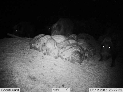 PIC (8).JPG (32.7 KiB) Vaadatud 2916 korda PIC (8).JPG