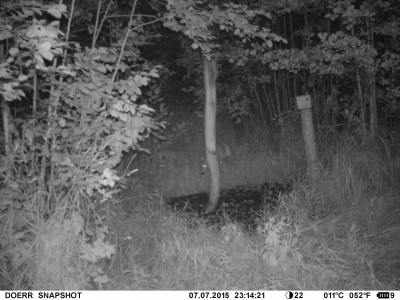 IMAG0247.JPG (538.01 KiB) Vaadatud 4194 korda IMAG0247.JPG