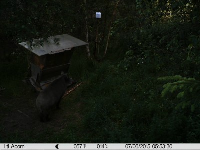 IMAG0236.JPG (439.22 KiB) Vaadatud 4283 korda IMAG0236.JPG