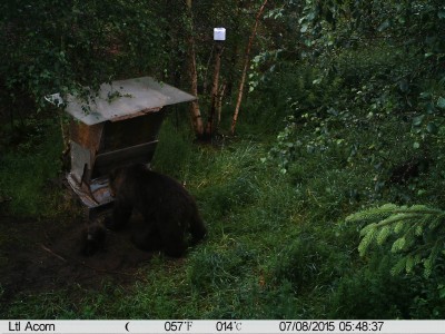 IMAG0295.JPG (726.34 KiB) Vaadatud 4022 korda IMAG0295.JPG