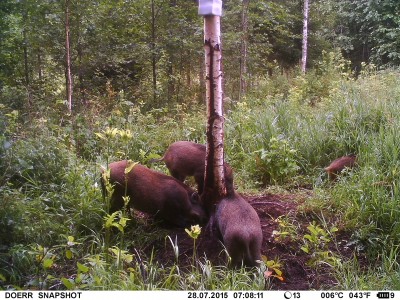 IMAG0659.JPG (1.46 MiB) Vaadatud 4079 korda IMAG0659.JPG