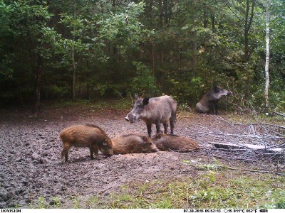 Puhkus..jpg (115.58 KiB) Vaadatud 4537 korda Puhkus..jpg