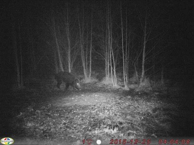 51b3da9b-2f37-4de5-bc31-9e8a85bfdc6e.jpg (54.12 KiB) Vaadatud 4872 korda 51b3da9b-2f37-4de5-bc31-9e8a85bfdc6e.jpg