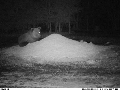 PIC (9).JPG (32.29 KiB) Vaadatud 4746 korda PIC (9).JPG