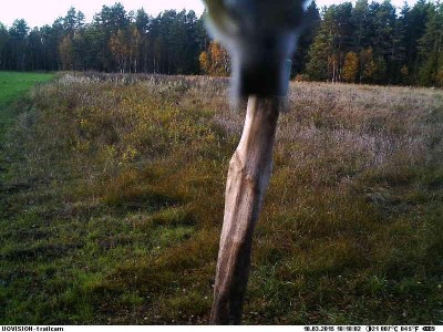 8cf5e7bc-a52c-4970-8b1e-567d283cc25d.jpg (72.59 KiB) Vaadatud 4891 korda 8cf5e7bc-a52c-4970-8b1e-567d283cc25d.jpg