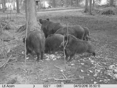 IMAG0144.JPG (1.18 MiB) Vaadatud 4795 korda IMAG0144.JPG