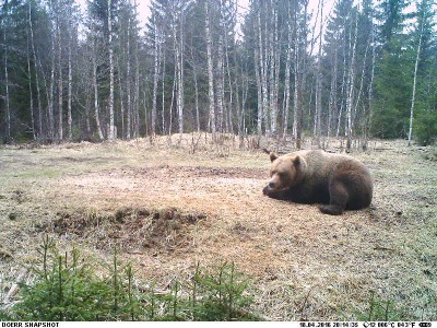 PIC.JPG (113.92 KiB) Vaadatud 4919 korda PIC.JPG