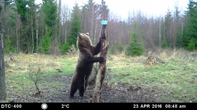 MDTC2317.JPG (1.76 MiB) Vaadatud 4904 korda MDTC2317.JPG