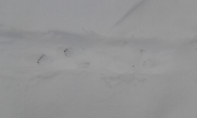 20171207_102110.jpg