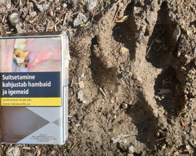20190610_213504.jpg (2.02 MiB) Vaadatud 3615 korda 20190610_213504.jpg