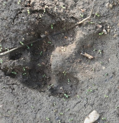 20190611_233259.jpg (866.67 KiB) Vaadatud 3240 korda Veel üks