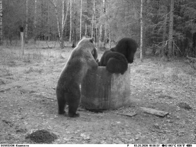 PIC0075.JPG (55.59 KiB) Vaadatud 4466 korda [ks pilt veel