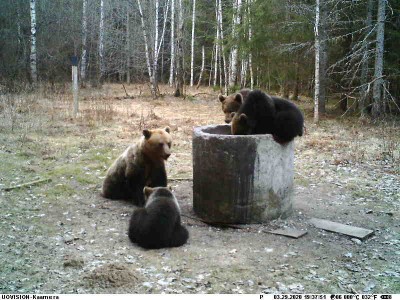 PIC0513 (1).JPG (55.01 KiB) Vaadatud 4640 korda PIC0513 (1).JPG