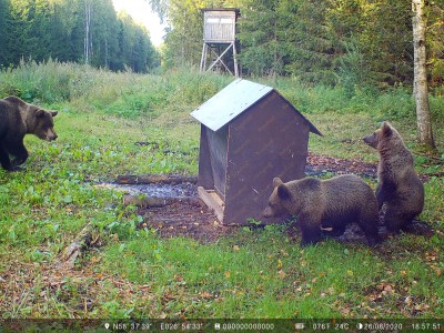 SYFW0133.JPG (2.58 MiB) Vaadatud 3788 korda SYFW0133.JPG