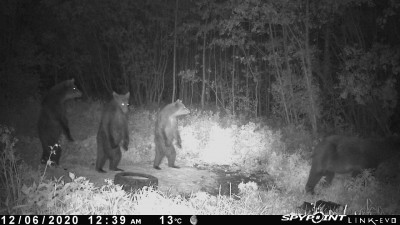 PICT0022.JPG (161.67 KiB) Vaadatud 3854 korda PICT0022.JPG