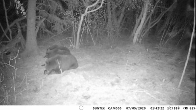 IMAG0097.jpg (569.57 KiB) Vaadatud 3796 korda IMAG0097.jpg