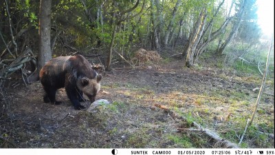 IMAG0210.jpg (1.33 MiB) Vaadatud 3765 korda IMAG0210.jpg