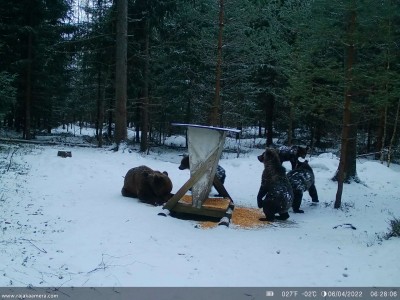 SYFR3277.JPG (316.07 KiB) Vaadatud 4749 korda SYFR3277.JPG